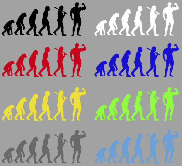 Bodybuilding Evolution